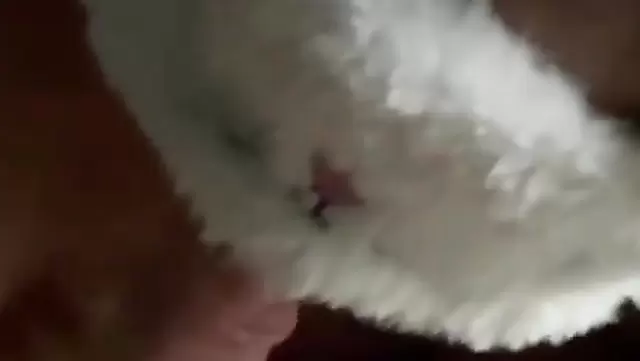 Tajik pussy toy sucking with husband before sex